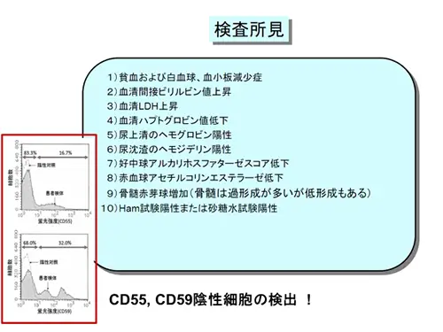 発作性夜間血色素尿症の検査所見