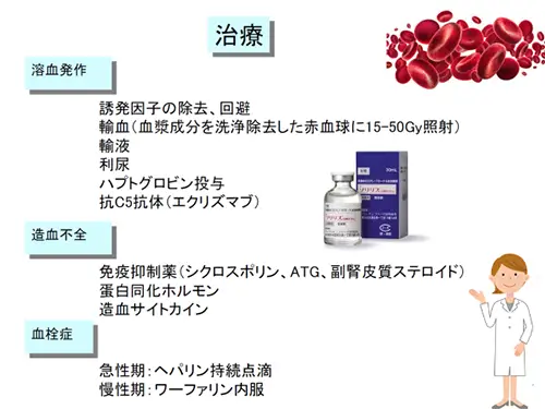 発作性夜間血色素尿症の治療