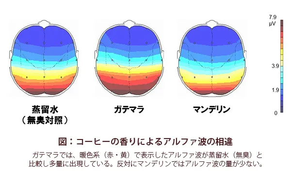 コーヒーの香りによるアルファ波の相違