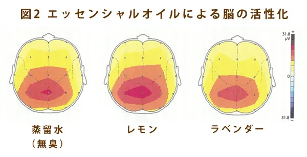 コーヒーの香りによるアルファ波の相違