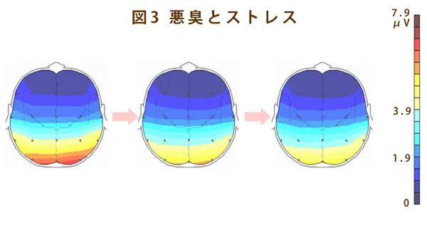 コーヒーの香りによるアルファ波の相違