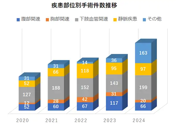 血管外科　手術実績