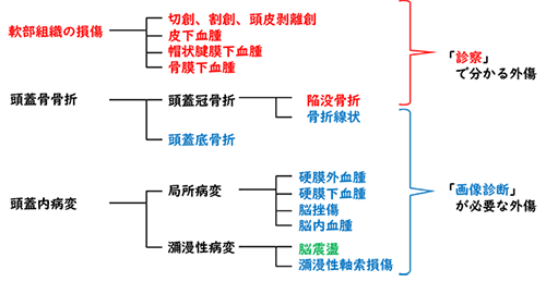 頭部外傷について 対象疾患 脳神経外科 新百合ヶ丘総合病院