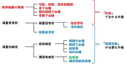 頭部外傷の各々の病態