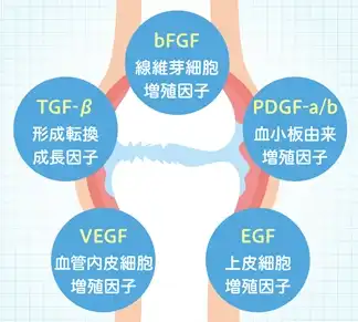 血小板に含まれる成長因子
