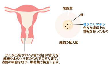 細胞診