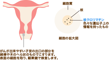細胞診