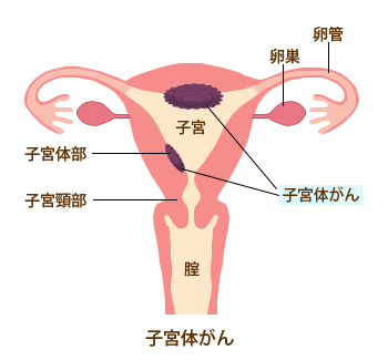 人体骨図