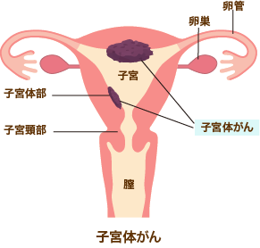 人体骨図