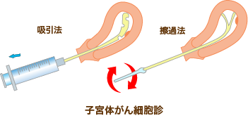 人体骨図