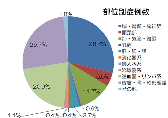 サバ―ナイフ治療実績