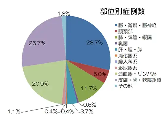 サバ―ナイフ治療実績