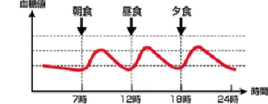 １日３回決まった時間に食事をとった時の血糖値の変化