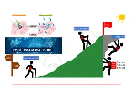 急性骨髄性白血病の治療