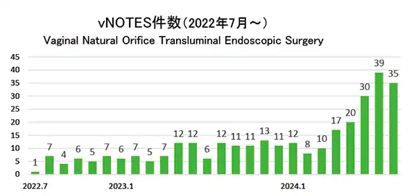vNOTES：経腟的に行う腹腔鏡下手術