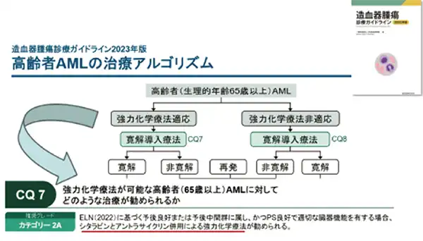 高齢者AMLの治療アルゴリズム