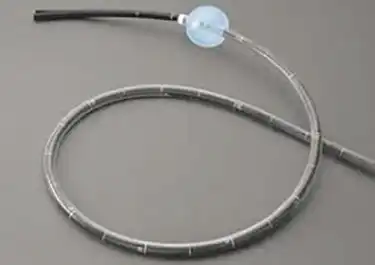 小腸バルーン内視鏡写真