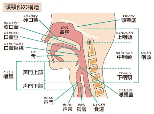 イラスト