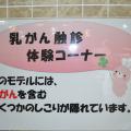 体験コーナー掲示