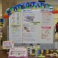 展示写真02