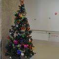 クリスマスツリー