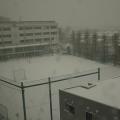 大雪で途中中止に