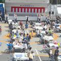 よさこい公演中の会場