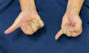 認知体操 編